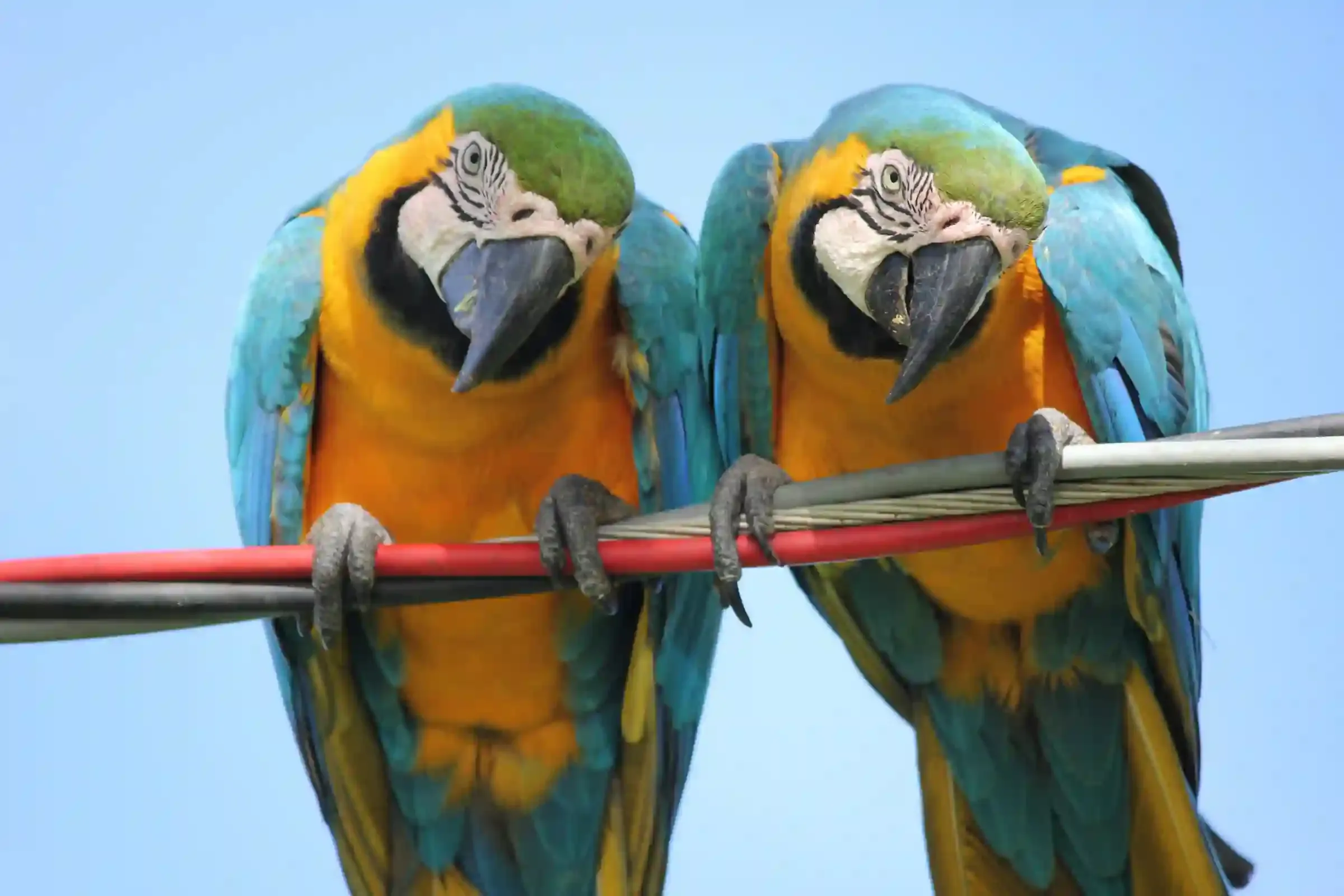 Beyond GitHub Culture: Why Your Team Should Reconsider Pull Requests
